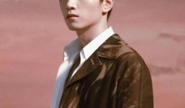 徐海乔爆料陈晓视频合集,视频合集深度解析