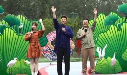 大淘金帕克最新爆料视频,揭秘行业内幕与未来趋势